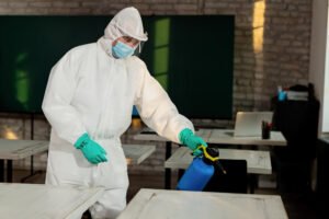 Mold Testing