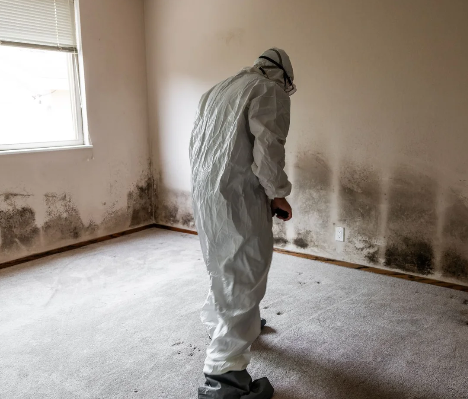 Screenshot_150 | Eco Shield Restorations