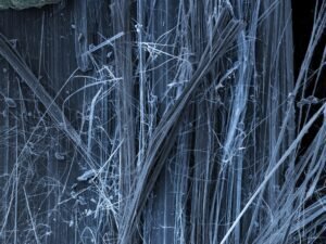 asbestos gameplan for homeowners