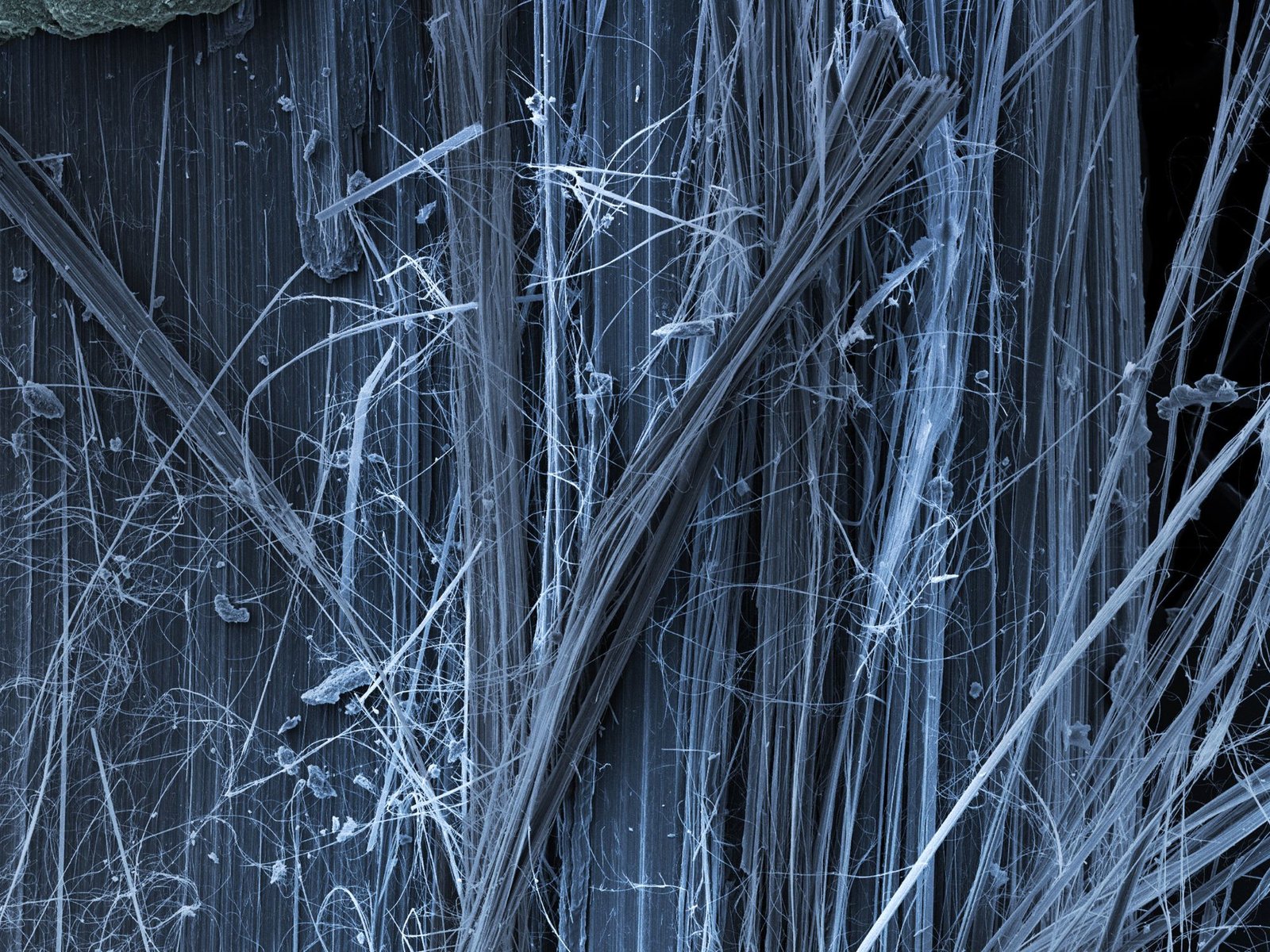 asbestos gameplan for homeowners